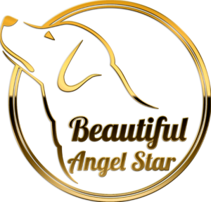 beautiful-angel-star2Logo